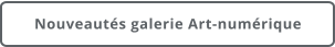 Nouveautés galerie Art-numérique