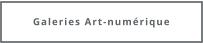 Galeries Art-numérique